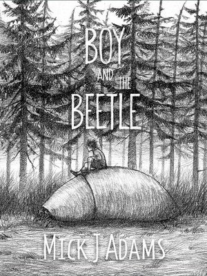 cover image of Boy and the Beetle